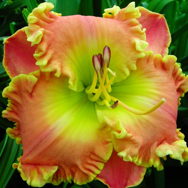 Kennesaw Mountain Hayride